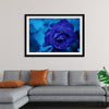 "Blue Rose"