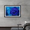 "Blue Rose"