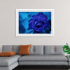 "Blue Rose"