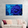 "Blue Rose"