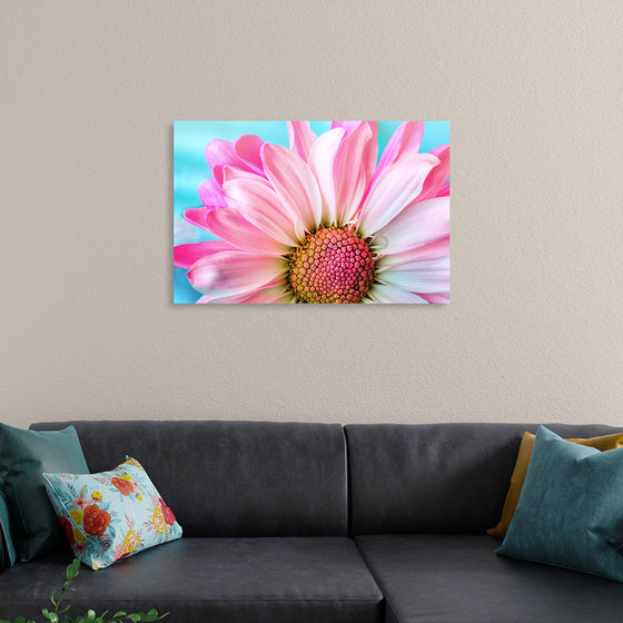 "Pink Daisy"