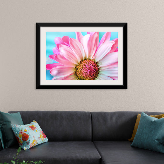 "Pink Daisy"