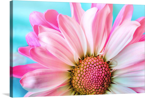 Immerse yourself in the enchanting allure of “Pink Daisy”. This exquisite print captures the ethereal beauty of a blooming daisy, with petals painted in mesmerizing hues of pink and white that seem to dance against a serene turquoise backdrop. Every intricate detail, from the delicate petals to the intricately patterned core, is brought to life with stunning clarity. 