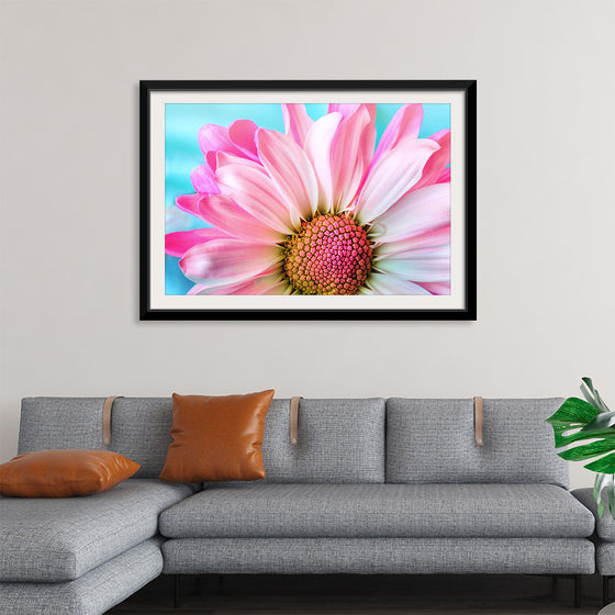 "Pink Daisy"