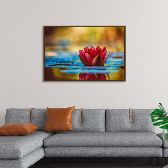 "Water Lily"