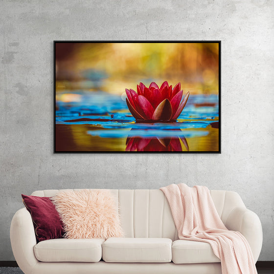 "Water Lily"