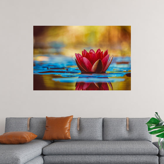 "Water Lily"