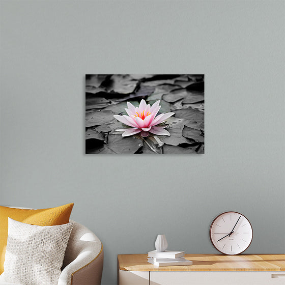 "Pink Water Lily"