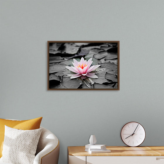 "Pink Water Lily"