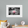 "Pink Water Lily"