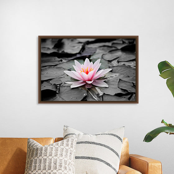 "Pink Water Lily"