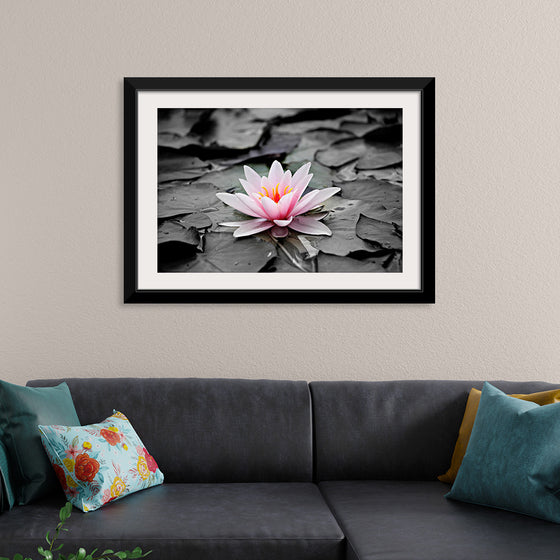 "Pink Water Lily"