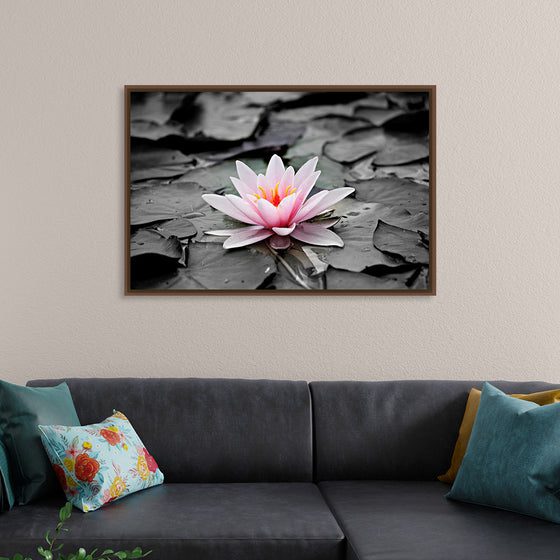 "Pink Water Lily"