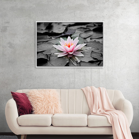 "Pink Water Lily"