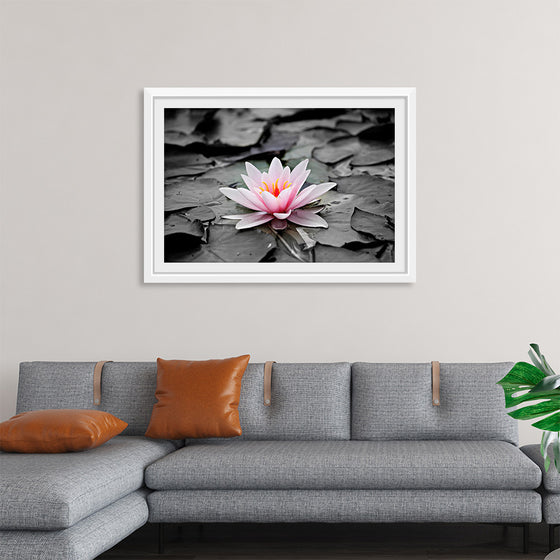 "Pink Water Lily"