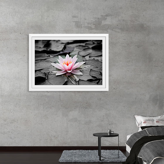 "Pink Water Lily"