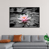 "Pink Water Lily"