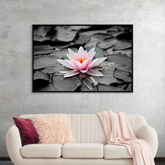 "Pink Water Lily"