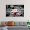 "Pink Water Lily"