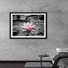 "Pink Water Lily"