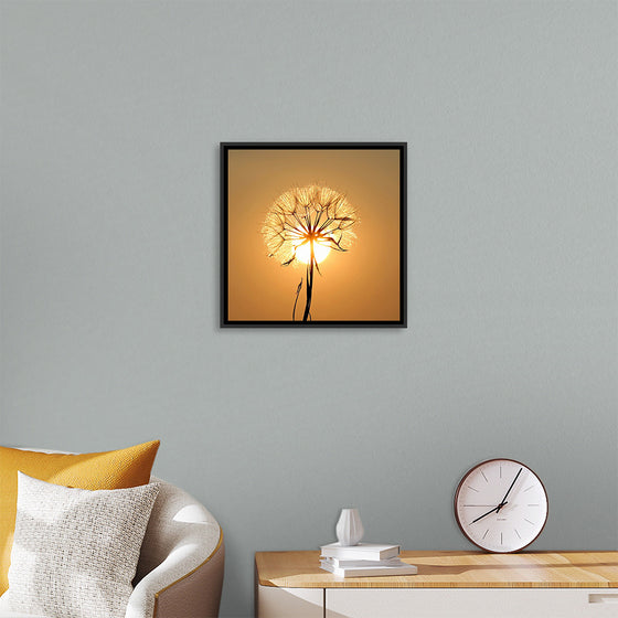 "Dandelion Sun"