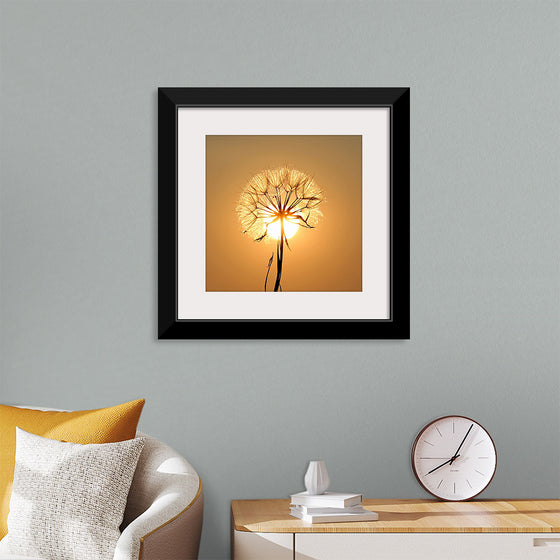 "Dandelion Sun"