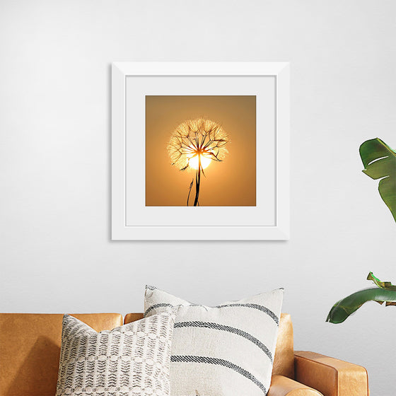 "Dandelion Sun"