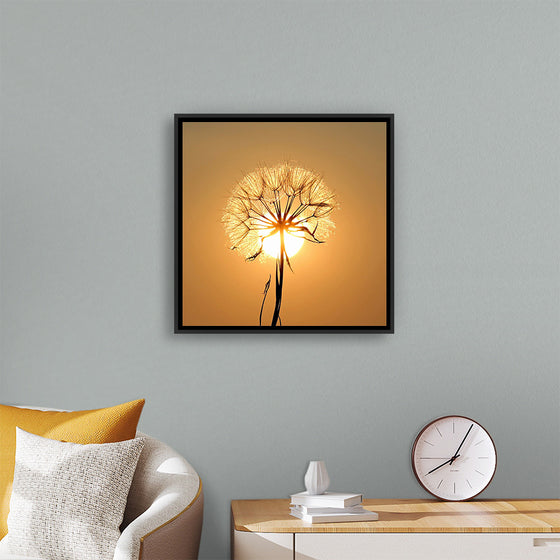 "Dandelion Sun"