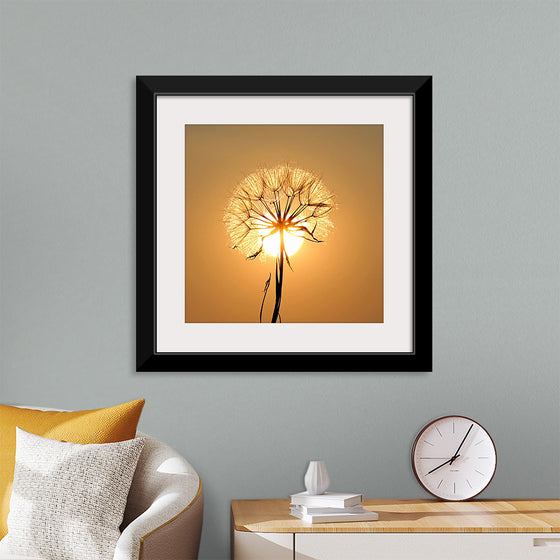 "Dandelion Sun"