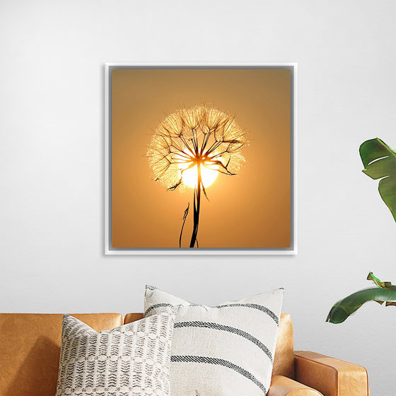 "Dandelion Sun"