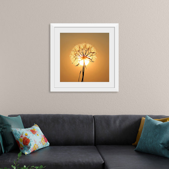 "Dandelion Sun"