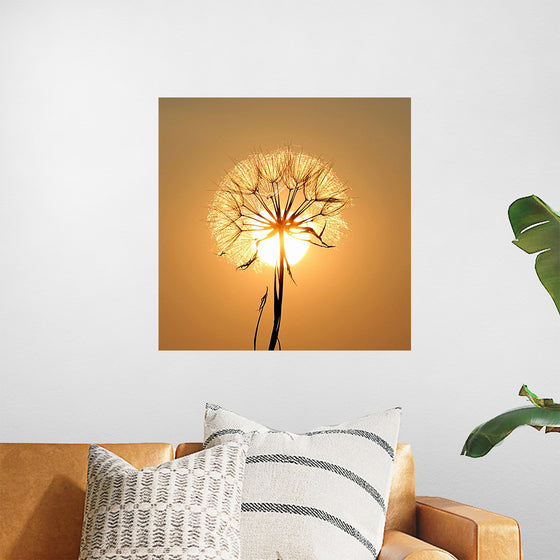 "Dandelion Sun"