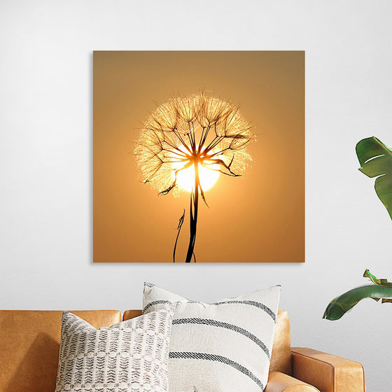 "Dandelion Sun"