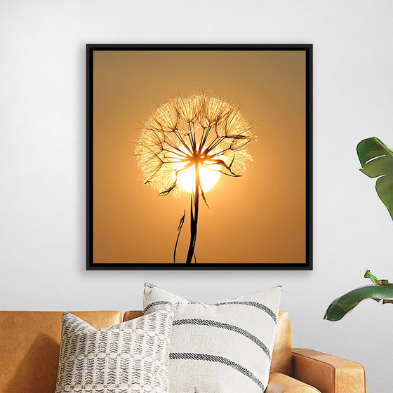 "Dandelion Sun"