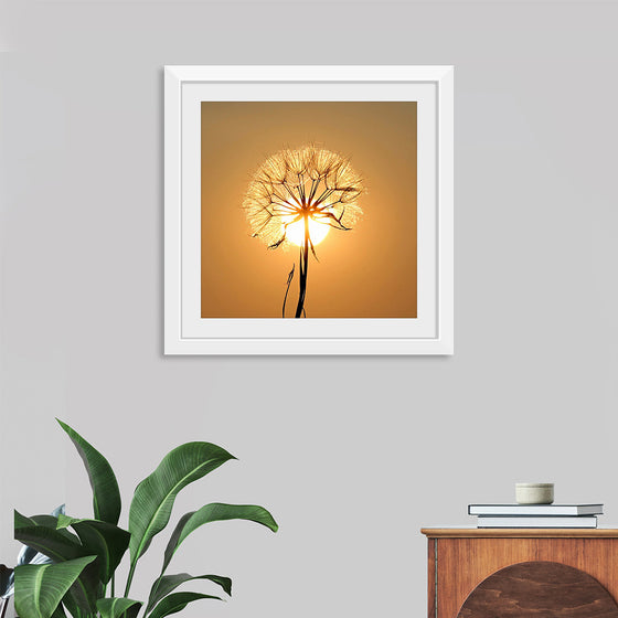 "Dandelion Sun"