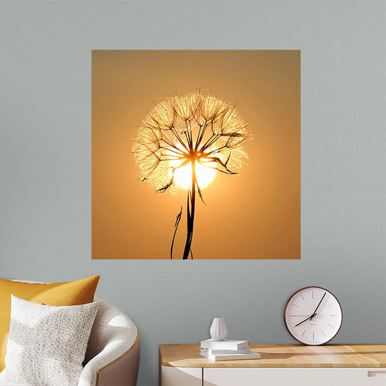 "Dandelion Sun"