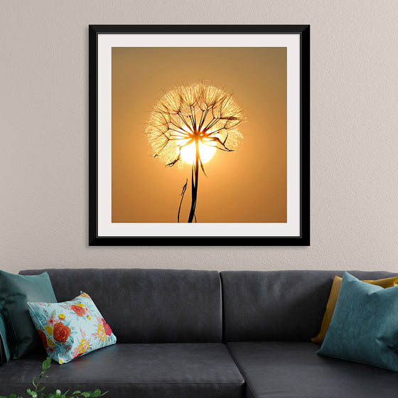 "Dandelion Sun"