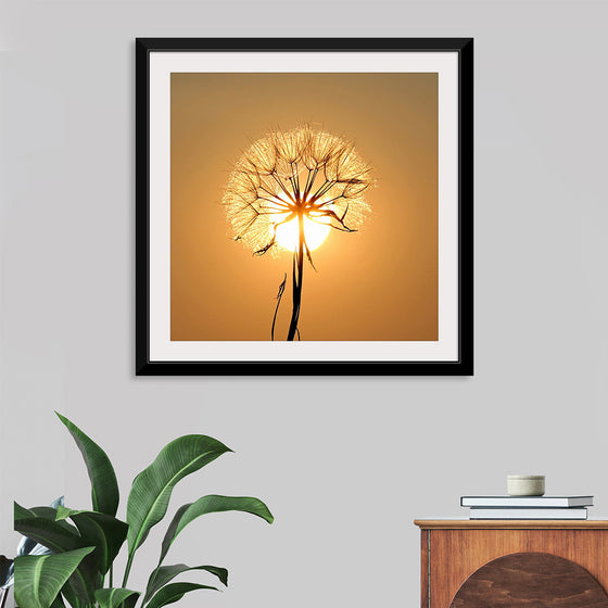 "Dandelion Sun"