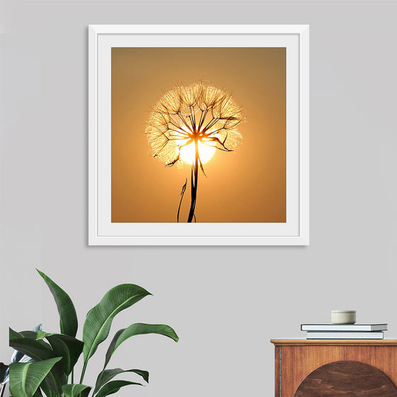 "Dandelion Sun"