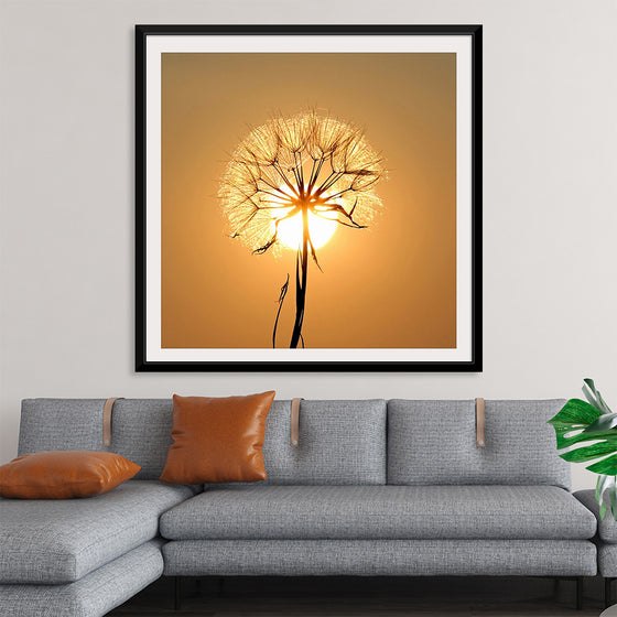 "Dandelion Sun"