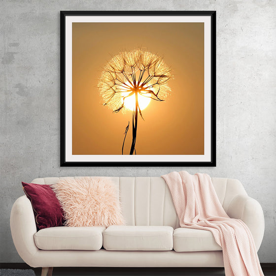 "Dandelion Sun"