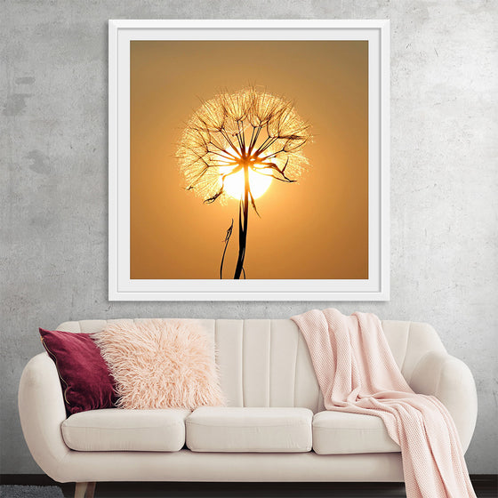 "Dandelion Sun"