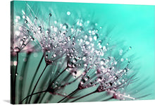  This captivating print of a dandelion covered in dew drops on a teal background is a stunning celebration of nature's beauty and resilience. The delicate dandelion seeds and the sparkling dew drops are perfectly captured in this close-up photograph, revealing the intricate details of these seemingly ordinary plants.
