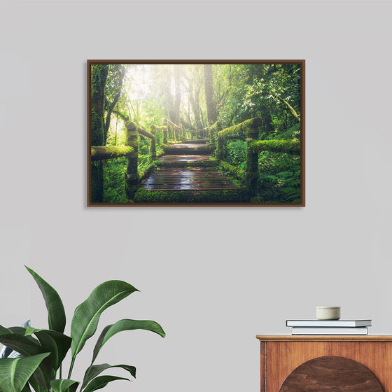 "Jungle Path"