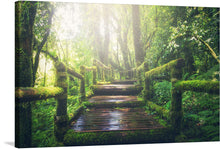  “Jungle Path” is a limited edition print that captures the mystical journey through nature’s untouched beauty. The artwork features a beautiful scene of a wooden pathway leading through a dense jungle. The pathway is made of dark wood planks and is surrounded by thick green moss covering every surface. 