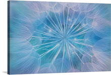  “Blowball Flowers Blossom Abstract” is a captivating ode to the delicate beauty of dandelions. This enchanting print invites you to explore the intricate details of a dandelion’s seeds, poised for their whimsical journey. Each filament, rendered with meticulous care, forms an ethereal pattern that dances across the canvas. 