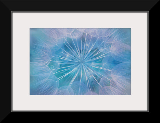 "Blowball Flowers Blossom Abstract"