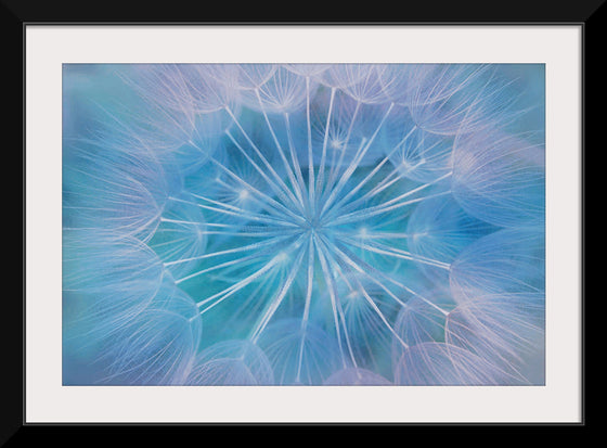 "Blowball Flowers Blossom Abstract"