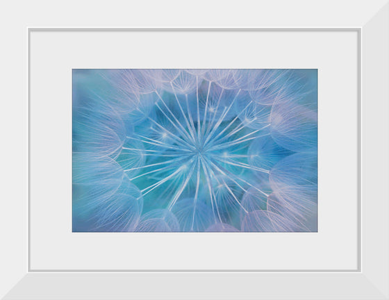 "Blowball Flowers Blossom Abstract"