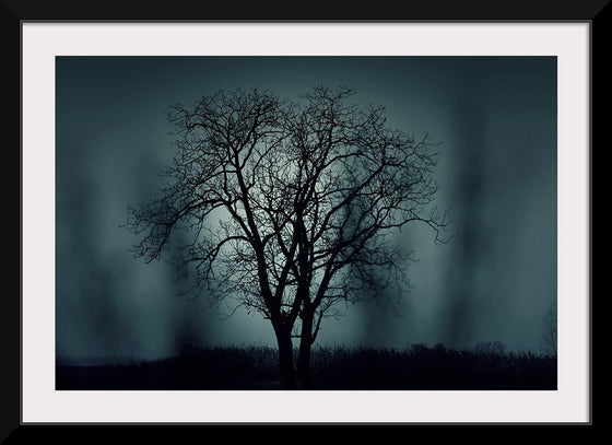 "Dark Nature"